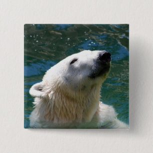 Polar bears smile 2 inch square button