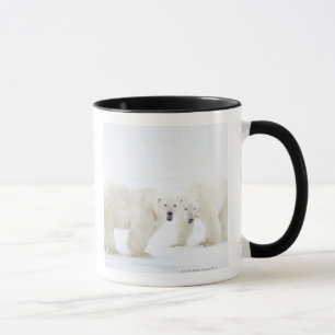 Polar Bears standing on snow after playing 2 Mug