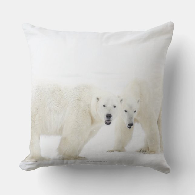 Polar Bears standing on snow after playing 2 Throw Pillow (Front)