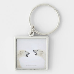 Polar Bears standing on snow after playing Keychain