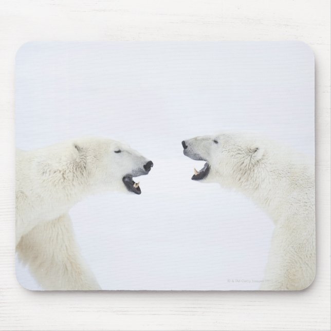 Polar Bears standing on snow after playing Mouse Pad (Front)