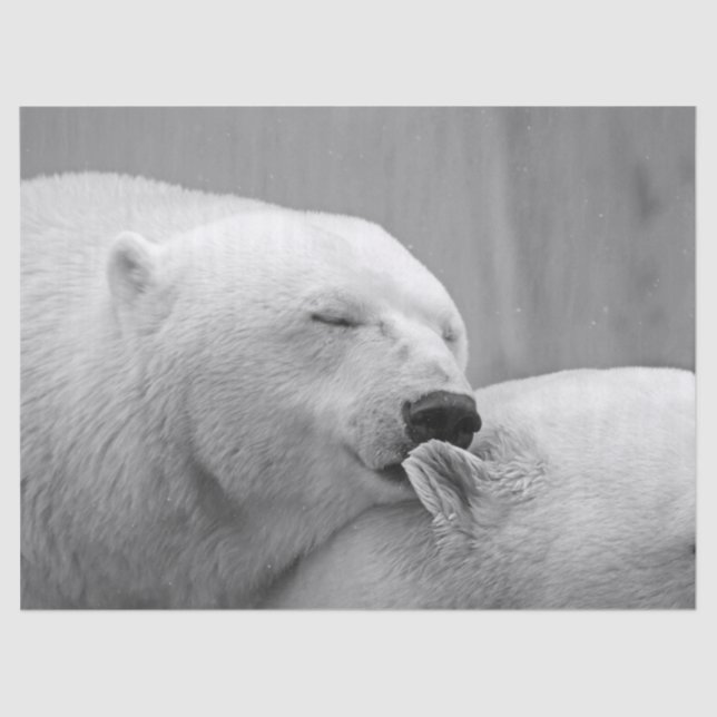 polar bears tissue paper (Front)