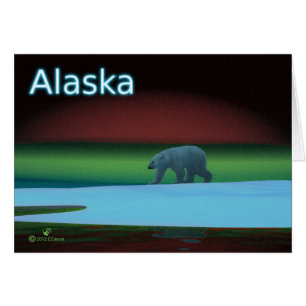 Polar Lights Polar Bear