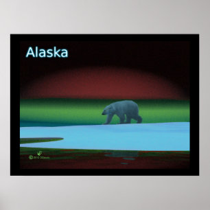 Polar Lights Polar Bear Poster