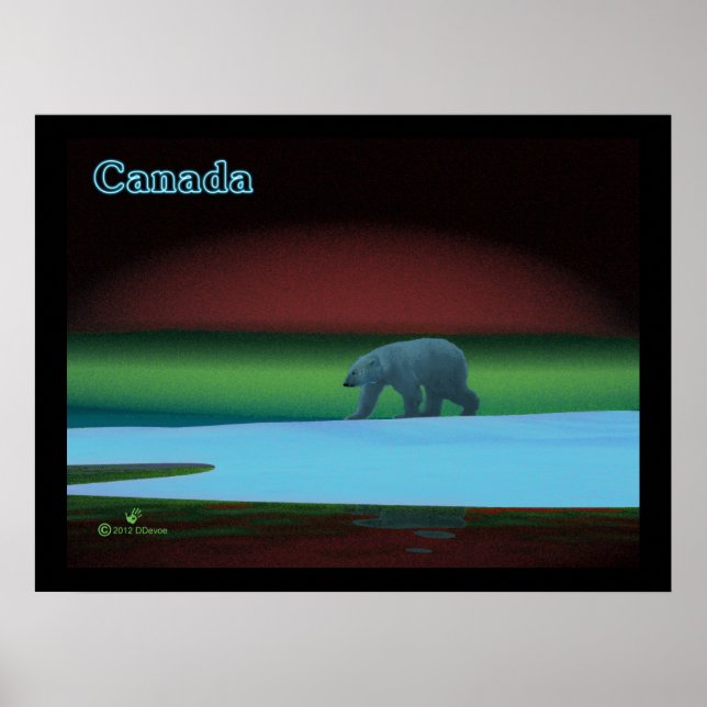 Polar Lights Polar Bear Poster (Front)