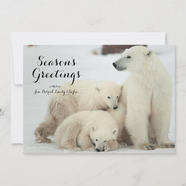 Polar She-bear With Cubs Holiday Card (Front)