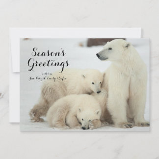 Polar She-bear With Cubs Holiday Card