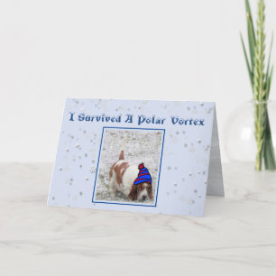 "Polar Vortex" Birthday Card W/Cute Basset Hound