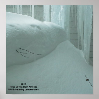 POLAR VORTEX HITS AMERICA 2019 POSTER
