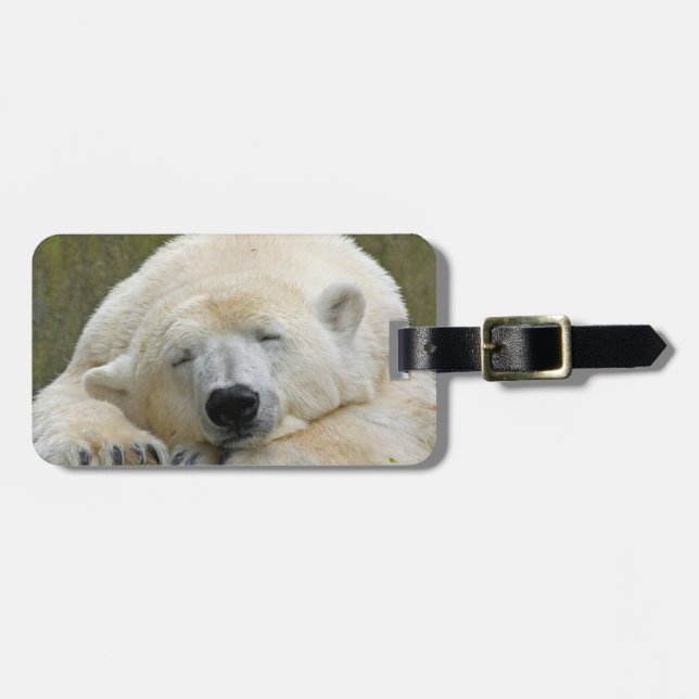PolarBear20150501 Luggage Tag (Front Horizontal)