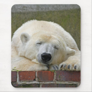PolarBear 001 Mouse Pad