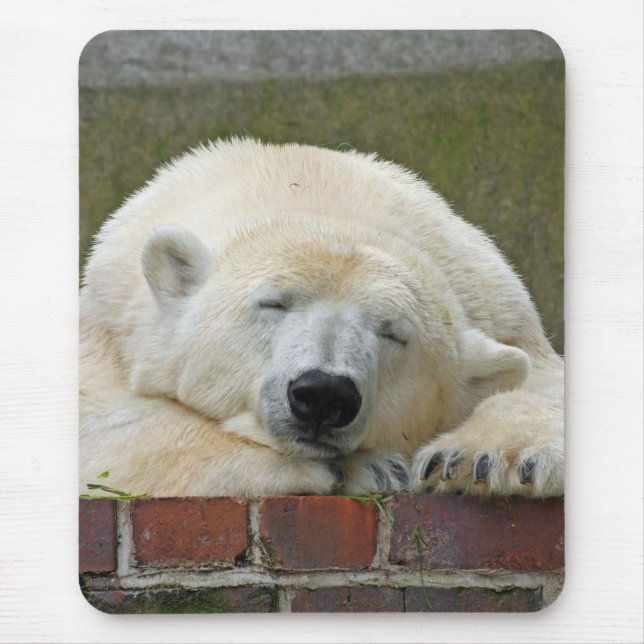 PolarBear 001 Mouse Pad (Front)