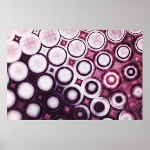 Polarized Poster