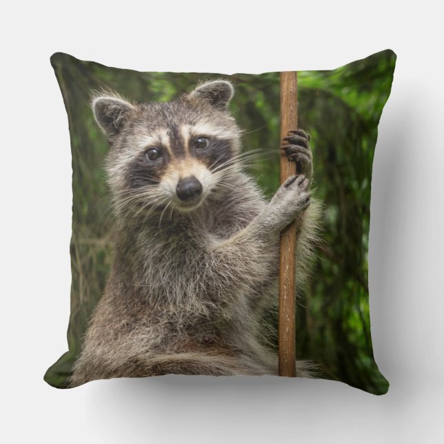 Pole Dancing Raccoon Throw Pillow (Front)