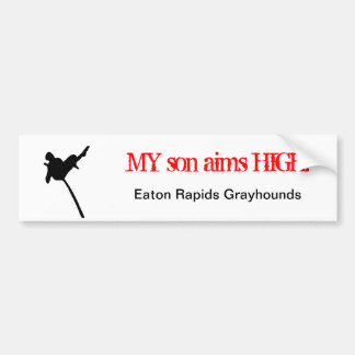 Pole Vault Bumper Sticker