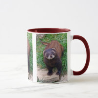 Polecat Mug
