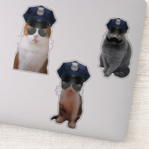 Police cat
