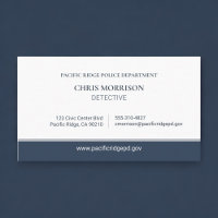 Police Detective Professional