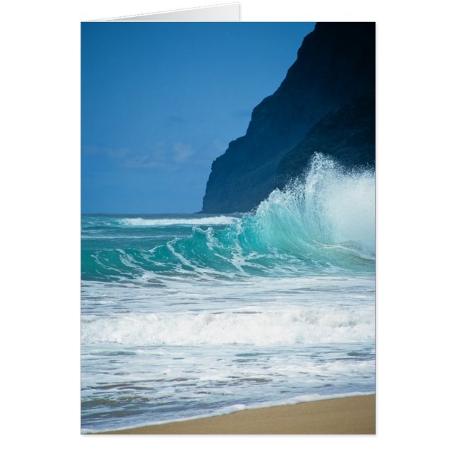 Polihale Beach (Front)