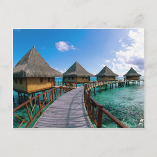 Polinesia Island Postcard
