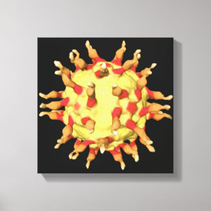 Polio Virus, Showing the Receptors Canvas Print