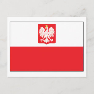 Polish Falcon Flag Postcard