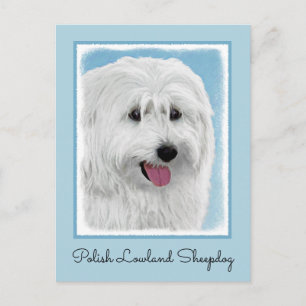 Polish Lowland Sheepdog Painting - Dog Art Postcard