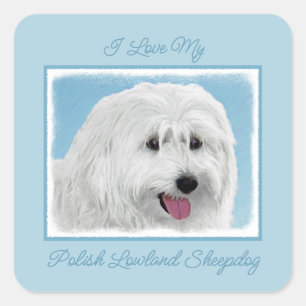Polish Lowland Sheepdog Painting - Dog Art Square  Square Sticker