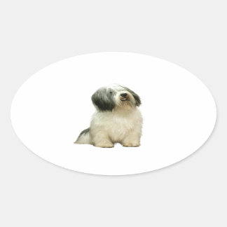 Polish Lowland Sheepdog (PON) - A Oval Sticker