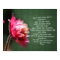 Polish Our Father Lord's Prayer Flower Religious