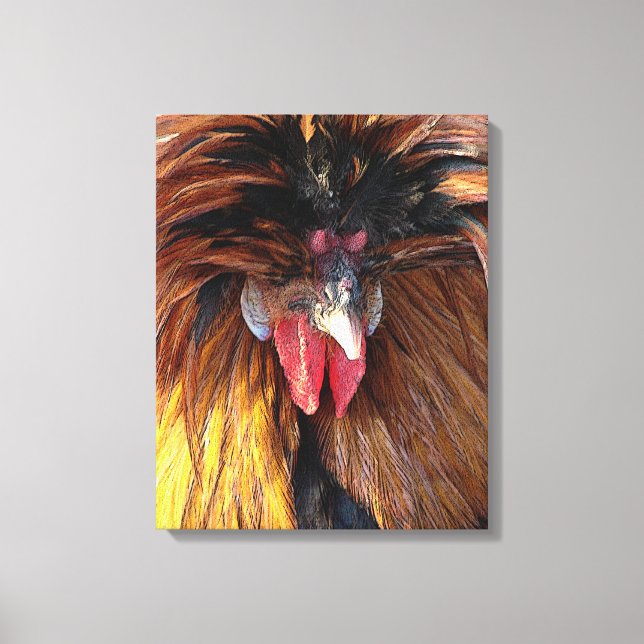 Polish Rooster Canvas Print (Front)