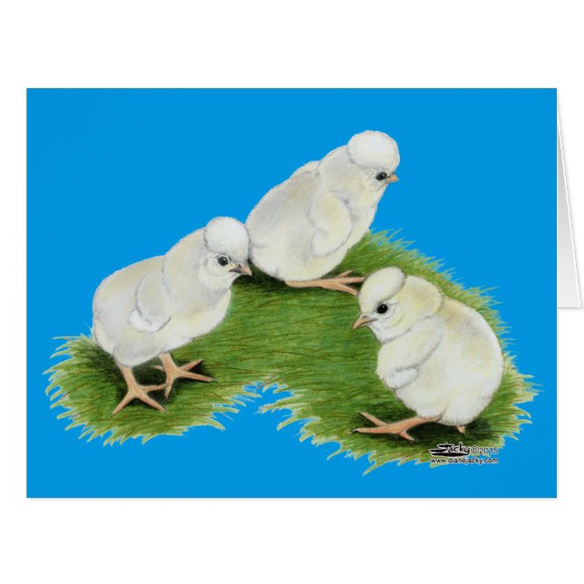 Polish Splash (Devant horizontal)