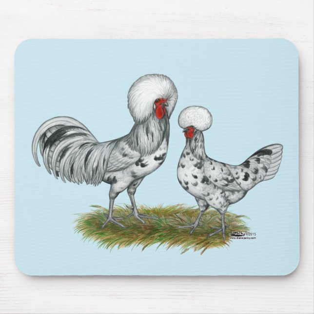 Polish Splash Chickens Mouse Pad (Front)