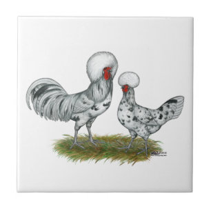 Polish Splash Chickens Tile