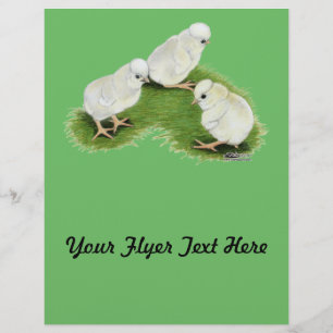 Polish Splash Chicks Flyer