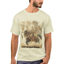 Polish Winged Hussar