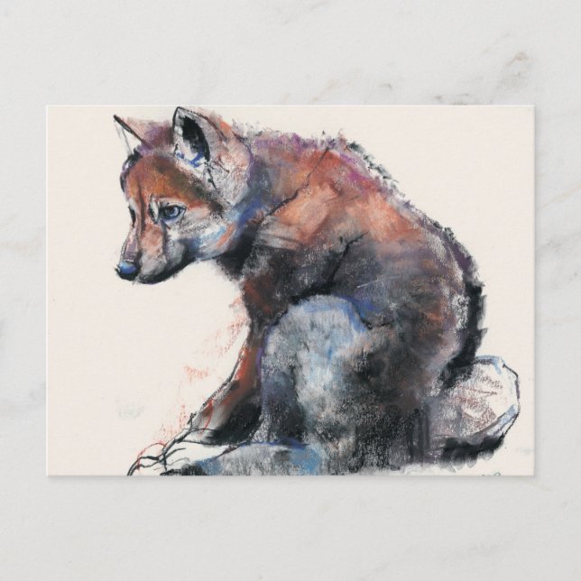 Polish Wolf Pup 2001 Postcard (Front)