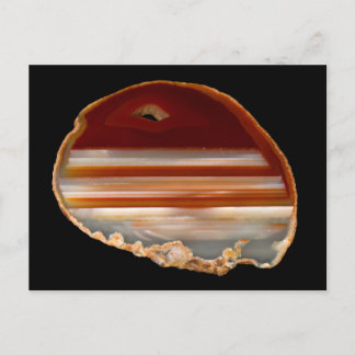 Polished Agate Slice Photo on Black Postcard