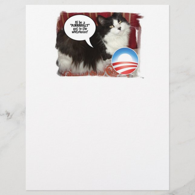 Political Cat Humour (Front)