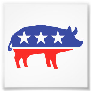 Political Party Pig Mascot Photo Print