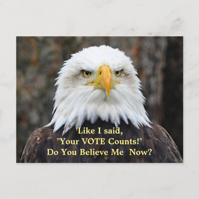 Political Satire American Bald Eagle VOTE Postcard (Front)