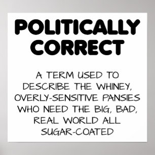 Politically Correct Funny Poster