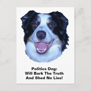 Politics Border Collie Bark The Truth Postcard