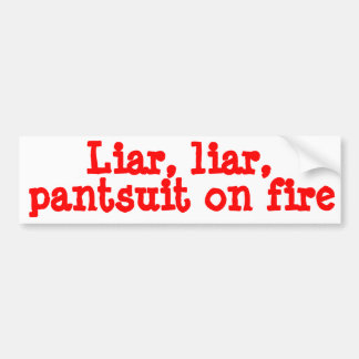 Politics Bumper Sticker
