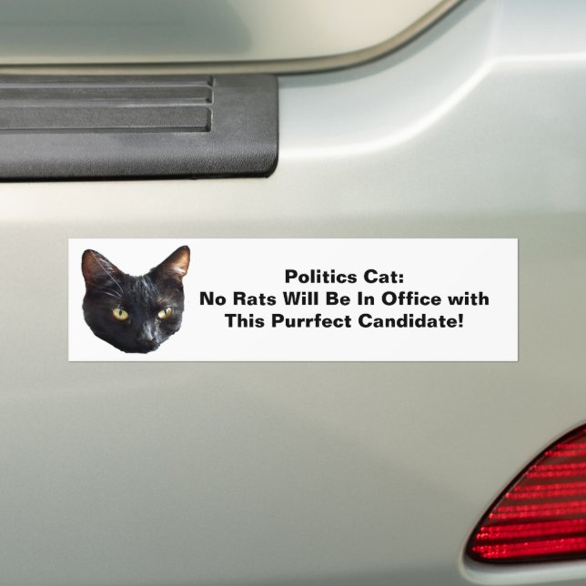 Politics Cat No Rats Will Be In Office Bumper Sticker (On Car)