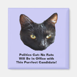 Politics Cat No Rats Will Be In Office Sq Magnet