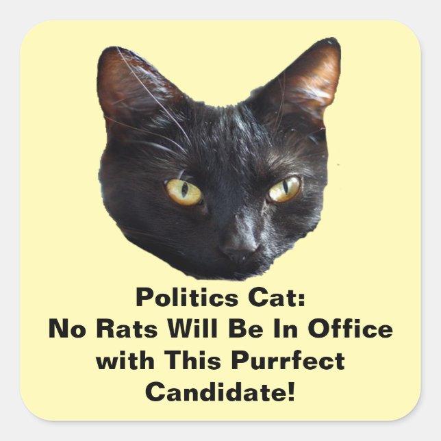 Politics Cat No Rats Will Be In Office Sticker (Front)