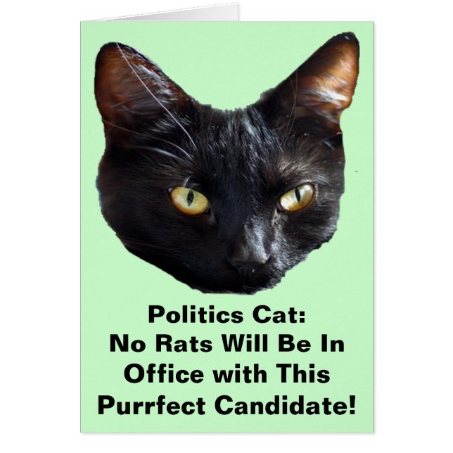 Politique Chat Aucun Rats Ne Sera En Fonction (Devant)