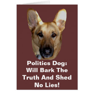 Politique Chien Berger Allemand Va Écorcher La Vér