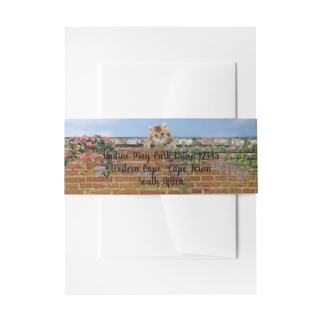 Polka-dot Street Art Scene Invitation Belly Band (Front Example)
